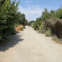 باغ ۱۷۵۰ متری شهریار میدان نماز