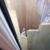 واگذاری گربه|گربه|قم, نیروگاه|دیوار