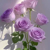 خریدار  وا   م از  دو اج