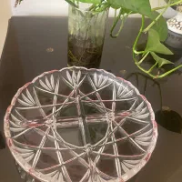 حراج ظروف|ظروف سرو و پذیرایی|شیراز, تلخ داش|دیوار