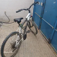 دوچرخه ۲۶ viva|دوچرخه، اسکیت، اسکوتر|لاران, |دیوار