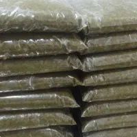 سبزی خوزستان