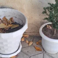 زیر قیمت|کفش و لباس بچه|خلخال, |دیوار