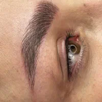 میکروابروبدون هزینه .... فقط فقط تا۲۰این ماه‌|خدمات آرایشگری و زیبایی|اردبیل, |دیوار