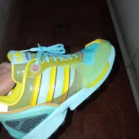 zxطلقی،موک فلوکس