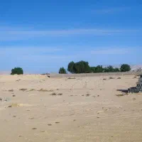 فروش2هزارمتر زمین روستای تل سنگ|فروش زمین و ملک کلنگی|بندر دیر, |دیوار