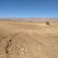 زمین هکتاری سپیدان جهت کشاورزی یا درخواست گلخانه