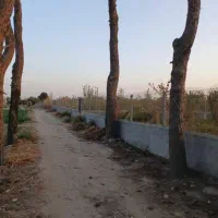 زمین-4525-متری-با-مجوز-گلخانه-بر-جاده