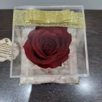 رز جاودان|صنایع دستی و سایر لوازم تزئینی|ری, هاشم‌آباد|دیوار