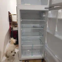 یخچال فریزر|یخچال و فریزر|تهران, سنگلج (شاپور)|دیوار