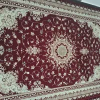 فرش تمیز|فرش|سنندج, |دیوار