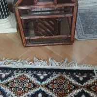 قفس با ۳ تا جوجه زیرک وسالم