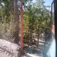 340 متر زمین طالقان