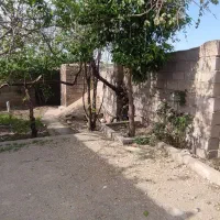 سوییت اجاره ای روزانه