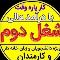 کار درمنزل به صورت پاره وقت