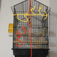 قفس با تمام وسایلش|لوازم جانبی حیوانات|سبزوار, فیاض|دیوار