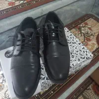 کفش مجلسی نو|کیف، کفش، کمربند|اردبیل, |دیوار