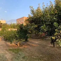 زمین مسکونی خیابان شریعتی شریعتی ۱