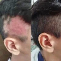 مثل جنگل میشه سرت