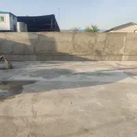مشارکت در قالی شویی