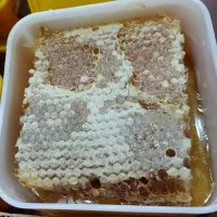 عسل۱۰۰٪خالص و طبیعی(مخلوط۴۰گرم گرده گل) عمده وخرده