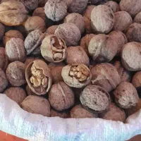 گردو پوست کاغذی،قیمت از ۲۵۰تا ۵۵۰|خوردنی و آشامیدنی|نجف‌آباد, گلدشت|دیوار