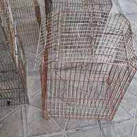 ۴ تا قفس پرنده سالمه و تمیز
