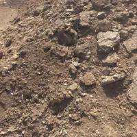 کودمرغی سالن قفسی