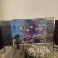 اکواریوم