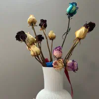 گل خشک به همراه گلدون( گلدان)