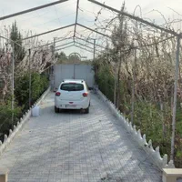 فروش باغچه ۱۰۰۰ متری ده حسن|فروش خانه و ویلا|رباط‌کریم, ده‌حسن|دیوار