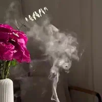 تایپیست حضوری آشنا به کامپیوتر و سایتهای اینترنتی