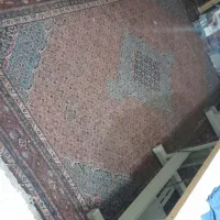 فرش دست بافت شش متری