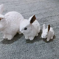 تعدادی گل و مجسمه