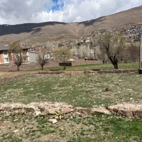 ۹۰۰ متر زمین باغ مسکونی دشت مشا با مجوز ساخت|فروش زمین و ملک کلنگی|آبعلی, |دیوار