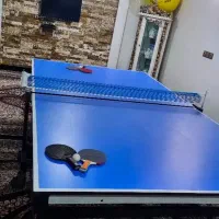 میز پینگ پنگ