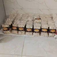 شکر پنیر آبنبات بجنورد شیرین کام