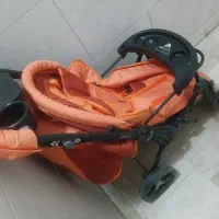 کالسکه دلیجان|کالسکه و لوازم جانبی|ری, دیلمان|دیوار