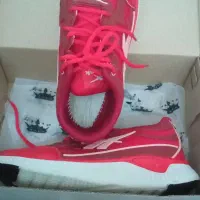 کفش ورزشی سایز ۳۷|کیف، کفش، کمربند|خوی, |دیوار