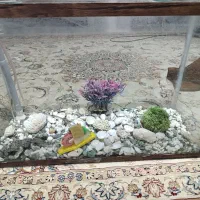 اکواریم با تجهیزات کامل