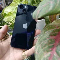 ایفون14|موبایل|نیشابور, محله میدان باغات|دیوار