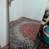 آینه ی قدی|آینه|کرمانشاه, |دیوار
