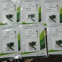 بذر خیار ۵۴۷|گل و گیاه طبیعی|جیرفت, |دیوار