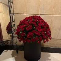 باکس گل لاکچری|گل و گیاه طبیعی|تهران, ولنجک|دیوار