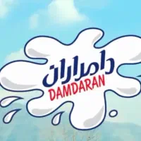 راننده پایه دو جهت پخش با سابقه