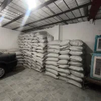 گندم بذری دیم درجه یک کم نظیر|خدمات باغبانی و درختکاری|خرم‌آباد, |دیوار