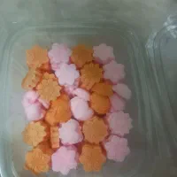 قندونبات
