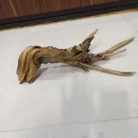 چوب آبنوس آکواریوم معاوضه با بخاری