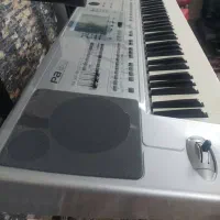 ارگ پی پنجاه تبدیل 80برازجان|پیانو، کیبورد، آکاردئون|برازجان, |دیوار