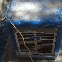 کولرابی